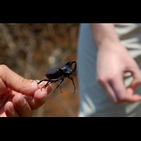 CostaRica054