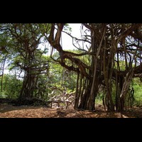 CostaRica077