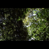 CostaRica298