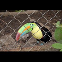 CostaRica334
