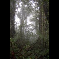 CostaRica354
