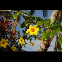 CostaRica415