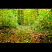 Bad_Sobernheim-03